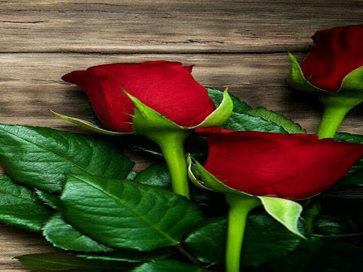 3D Red Rose Images 2020 1 تصوير الشاشة