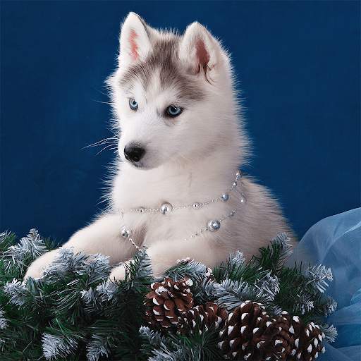 Classic Jigsaw Puzzles screenshot 5