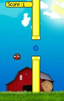 Country Bird screenshot 1
