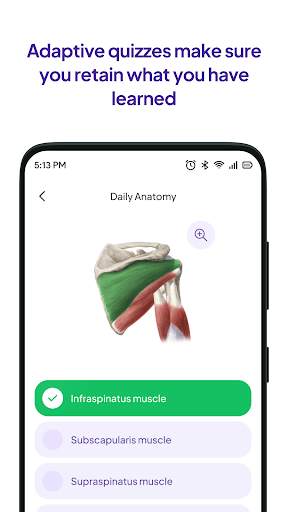 Daily Anatomy Flashcards स्क्रीनशॉट 4