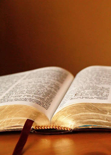Ewe Bible screenshot 2