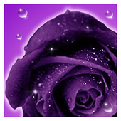 Roses live wallpaper icon