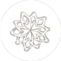 Raaga