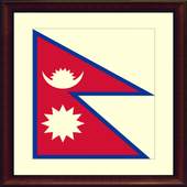 TV Nepal Info channel 1.0