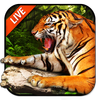 Tiger Live Wallpaper 2018 icon