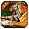 Tiger Live Wallpaper 2018 2.2.0.2510