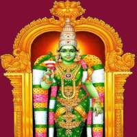 Sree Meenachi Store icon