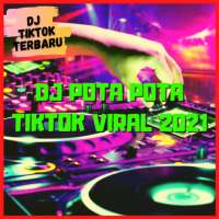 DJ POTA POTA TIKTOK VIRAL