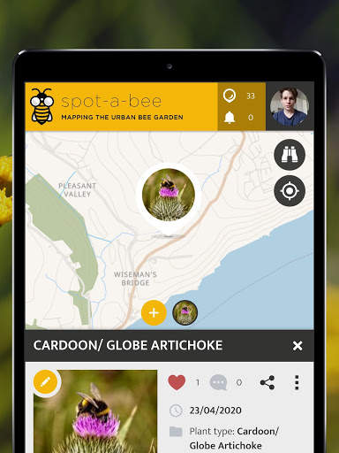 Spot-a-Bee  | SPOTTERON screenshot 9