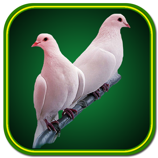 Birds Wallpaper Offline आइकन