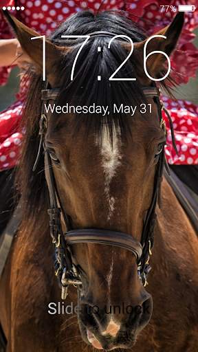 Horses Lock Screen 5 تصوير الشاشة