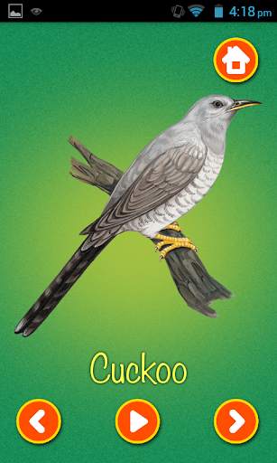 Learn Birds Name - Birds Picture & Sound स्क्रीनशॉट 3