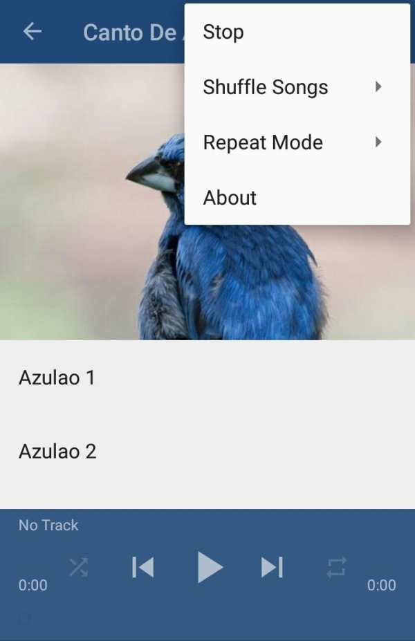Canto De Azulao screenshot 5