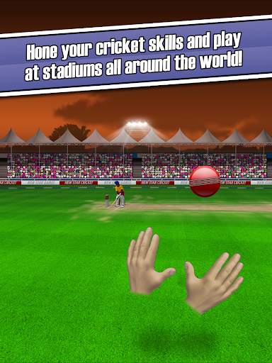 New Star: Cricket screenshot 10