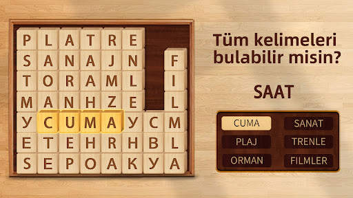 Kelime Oyunu: Words Game screenshot 8