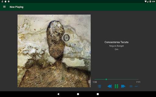 Samba Network Music Player screenshot 13