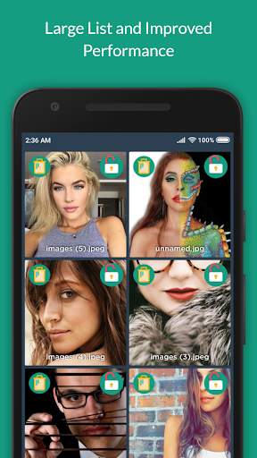 Flexible File Locker (Secret File Lockers) 7 تصوير الشاشة
