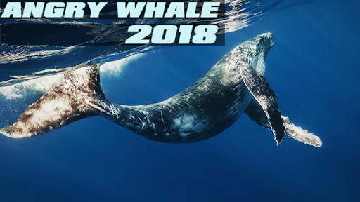 Angry Whale 2018 स्क्रीनशॉट 1