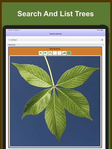 Forest Tree Identification скриншот 11