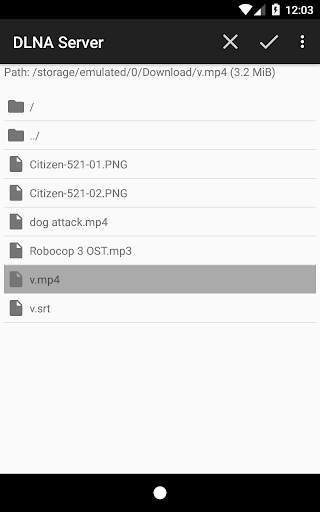 DLNAServer screenshot 2