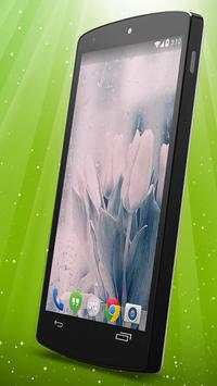 Rainy Tulips Live Wallpaper screenshot 2