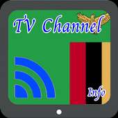 TV Zambia Info Channel logo