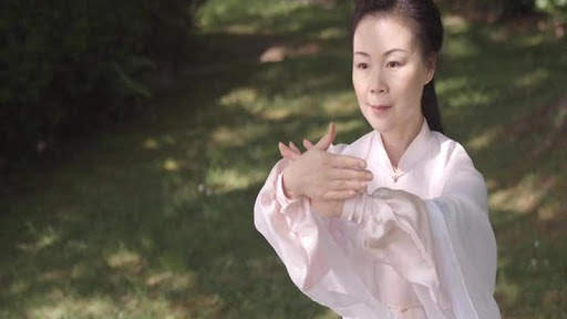 Tai Chi for Beginners - 48 Form (YMAA) screenshot 10