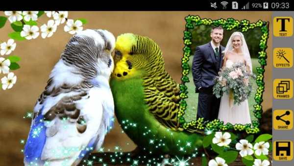 Love Birds Photo Frames screenshot 8