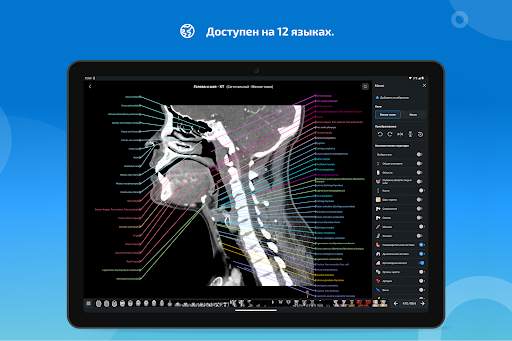 e-Anatomy скриншот 15