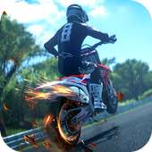 Wild Moto Racing logo