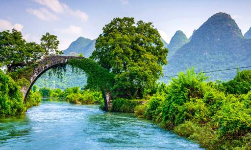 Nature Image Wallpapers 1 تصوير الشاشة