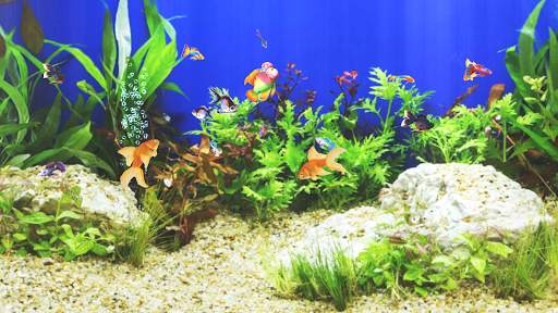 Aquarium Sim 8 تصوير الشاشة
