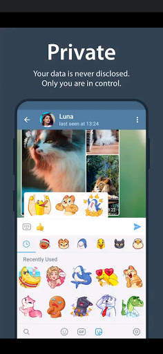 Tele Plus Messenger screenshot 2