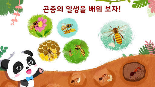 꼬마 판다의 신기한 곤충 screenshot 4