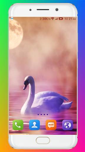 Swan Wallpaper HD screenshot 5