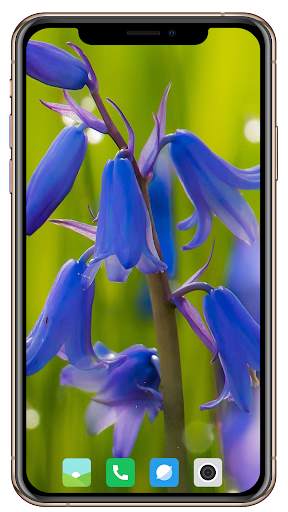 Blue Wallpaper screenshot 3