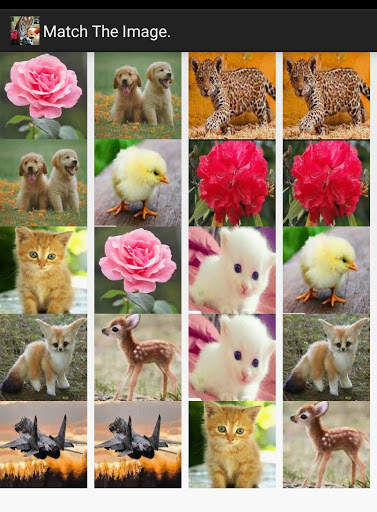 Picture Puzzle screenshot 4