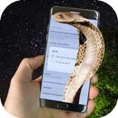 snake on screen on 9Apps