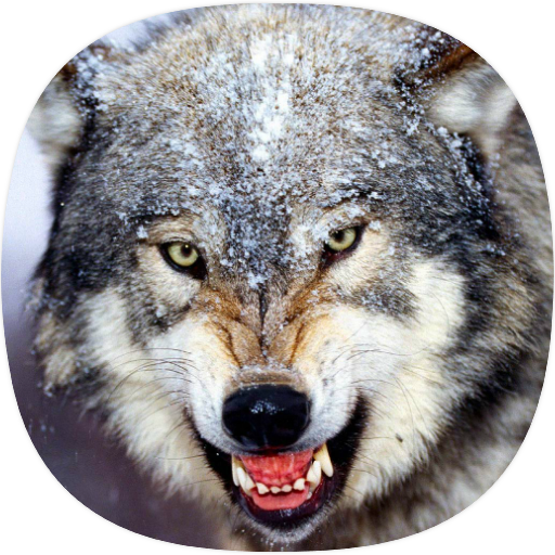 Wolf Ringtones иконка