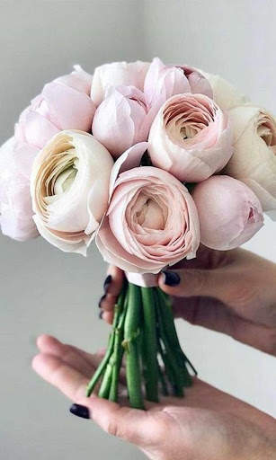 Rose Wallpapers screenshot 7