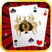 Spider Solitare icon