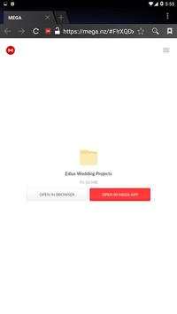 Edius Wedding Projects   Data Free Download screenshot 3