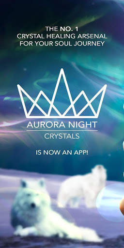 Aurora Night screenshot 1