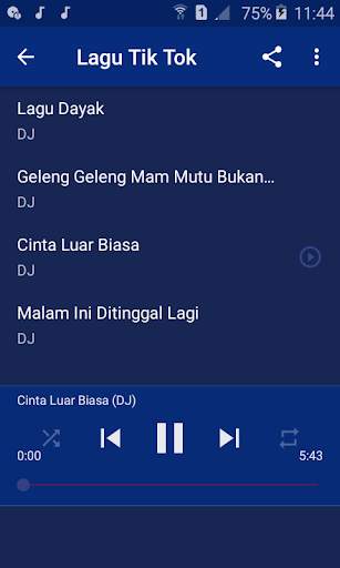 Kumpulan Lagu TikTok screenshot 4