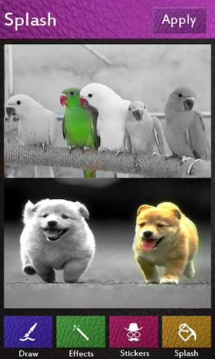 Photo Editor screenshot 5