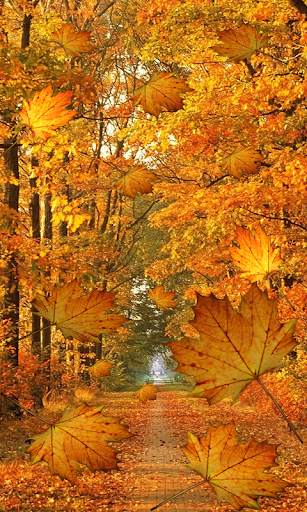 Fall Live Wallpaper screenshot 8