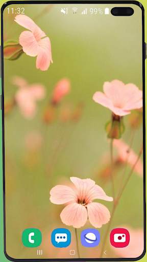 Flowers Wallpaper Best HD screenshot 15