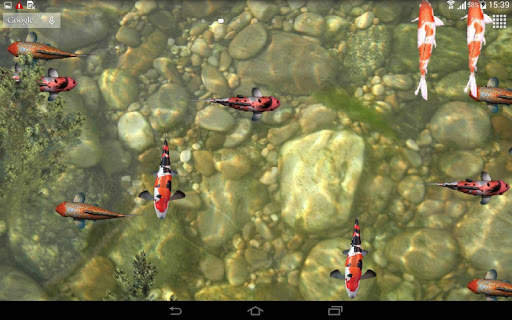 Koi Fish Live Wallpaper 3D screenshot 4