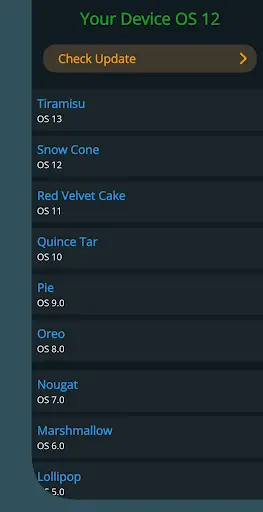 Play Store Update Services screenshot 4