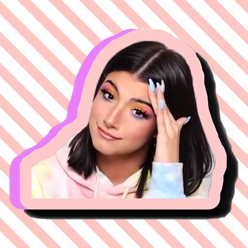 Charli D Amerilo Sticker For WhatsApp 2.0